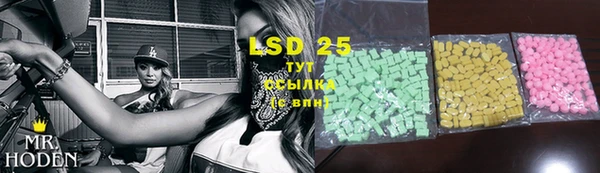 амф Гусиноозёрск