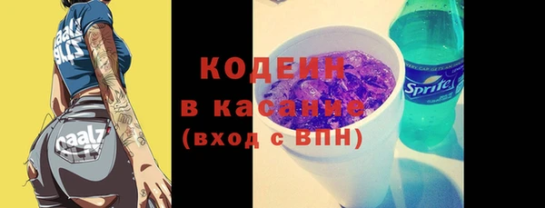 амф Гусиноозёрск