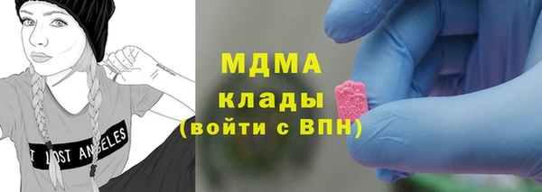 индика Вяземский