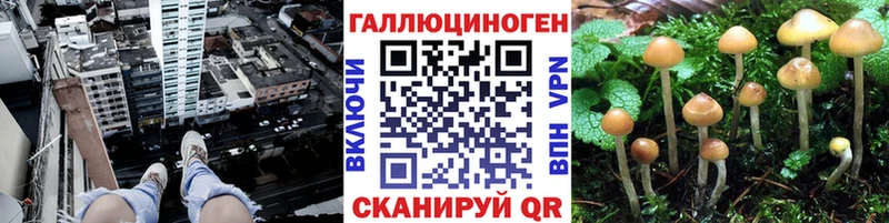 kraken сайт  Емва  Галлюциногенные грибы MAGIC MUSHROOMS 